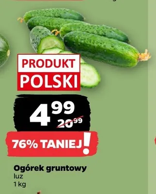 Ogórek gruntowy promocja w Netto