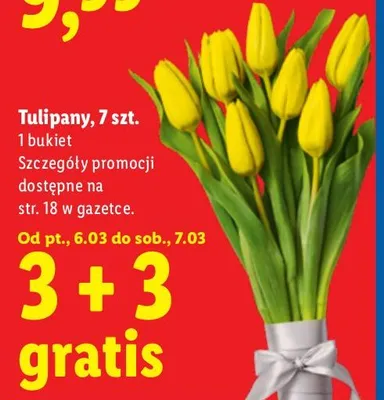 Tulipany 7 szt. promocja w Lidl