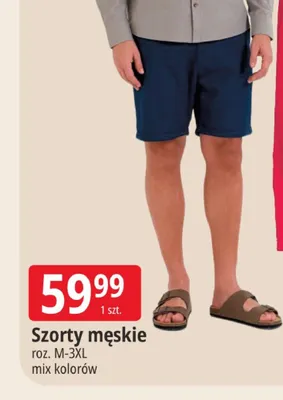 Szorty męskie Moraj promocja w Leclerc