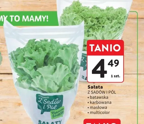 Sałata karbowana Z Sadów i Pól promocja w Intermarche