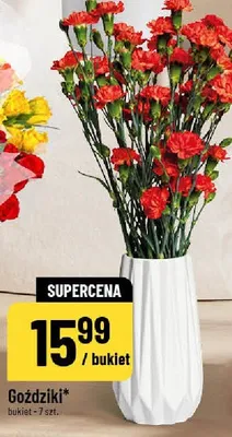 Goździki bukiet 7 szt. promocja w POLOmarket