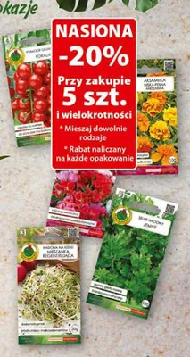 Gazetka 06 / 2026, strona 58 promocja w Dino