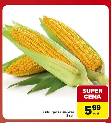 Kukurydza świeża promocja w Carrefour Market