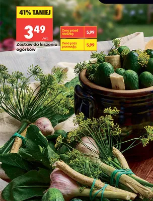 Zestaw do kiszenia ogórków promocja w Biedronka