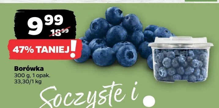 Borówka 300 g promocja w Netto