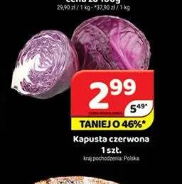 Kapusta czerwona promocja w Delfin