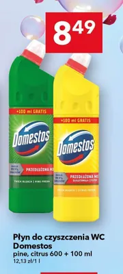Płyn do czyszczenia WC Domestos Pine promocja w LEWIATAN