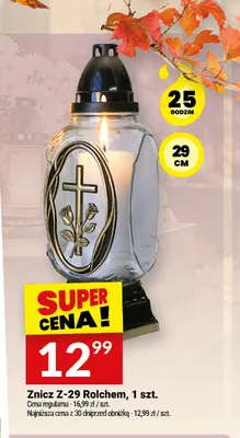 Znicz Z-29 Rolchem promocja w Twój Market