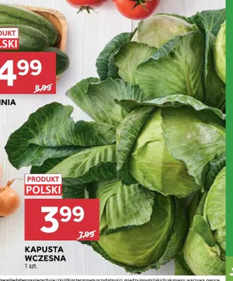 Kapusta wczesna promocja w Stokrotka
