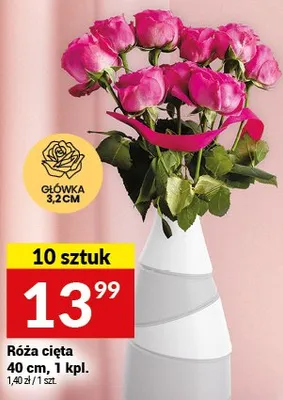 Róża cięta promocja w Twój Market