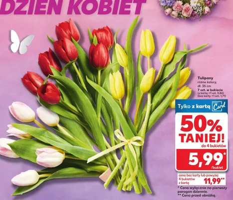 Tulipany różne kolory promocja w Kaufland