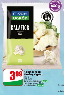 Kalafior róża Mroźny Ogród promocja w Dino