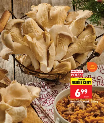 Boczniak promocja w Biedronka