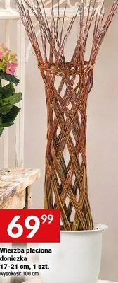 Wierzba pleciona doniczka 17-21 cm promocja w Twój Market