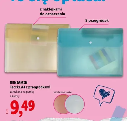 Teczka A4 z przegródkami Beniamin promocja w Lidl
