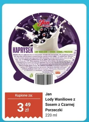 Lody waniliowe z sosem z czarnej porzeczki Jan Kaprysek promocja w Dino