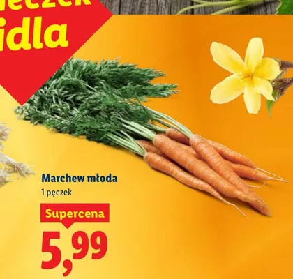 Marchew młoda promocja w Lidl