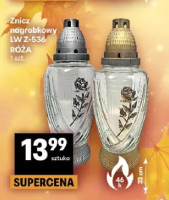 Znicz nagrobkowy Lw Z-536 Róża promocja w Delikatesy Centrum