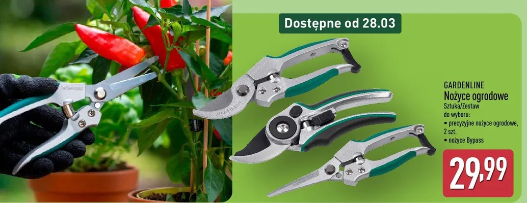 Nożyce ogrodowe promocja w Aldi