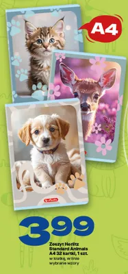 Zeszyt Herlitz Standard Animals A4 32 kartki promocja w Twój Market
