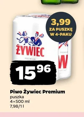 Piwo Żywiec Premium 4-pak promocja w Netto