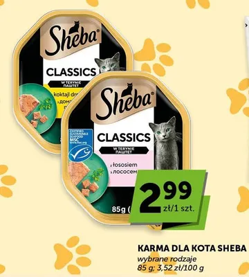 Karma dla kota wybrane rodzaje promocja w Groszek