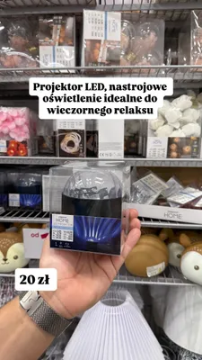 Projektor LED Pepco Home promocja w Pepco
