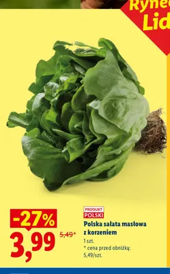 Sałata masłowa z korzeniem polska promocja w Lidl