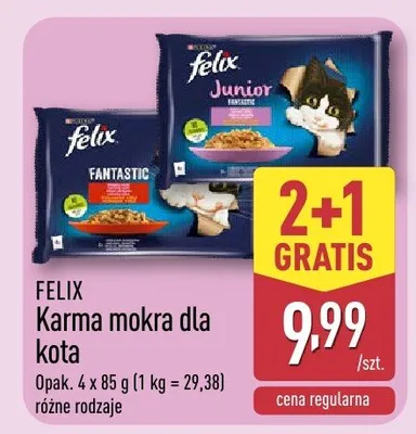 Karma mokra dla kota promocja w Aldi
