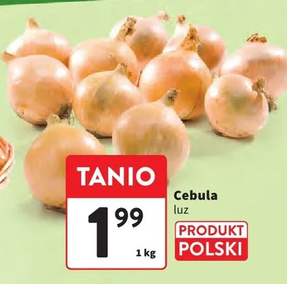 Cebula promocja w Intermarche