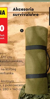 Koc polarowy promocja w Biedronka