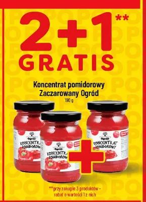 Koncentrat pomidorowy Zaczarowany Ogród promocja w POLOmarket