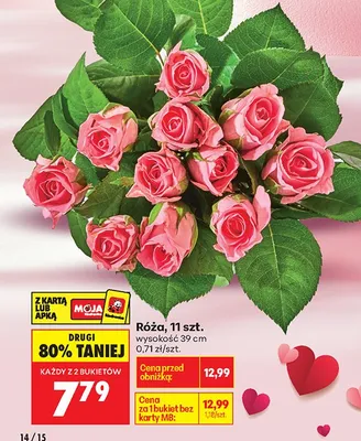 Róża 11 szt. promocja w Biedronka