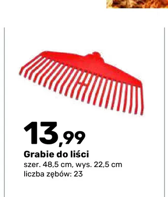 Grabie do liści Extra-Click promocja w Bricomarche
