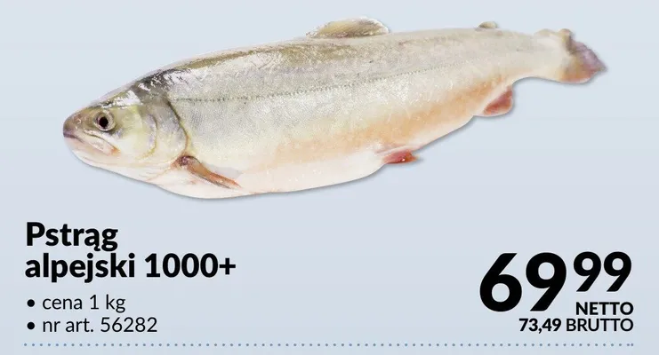 Pstrąg alpejski 1000+ promocja w Makro