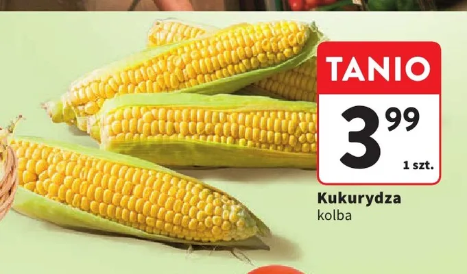 Kukurydza kolba promocja w Intermarche