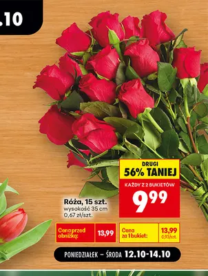 Róża 15 szt. promocja w Biedronka