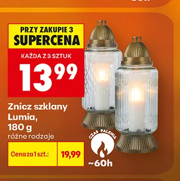 Znicz szklany Lumia promocja w Biedronka