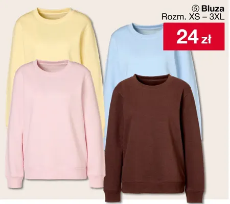 Bluza Rozm. XS - 3XL promocja w Woolworth