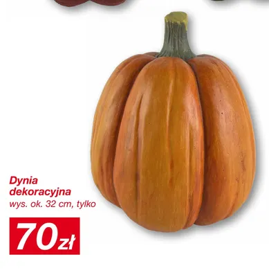 Dynia dekoracyjna promocja w KiK