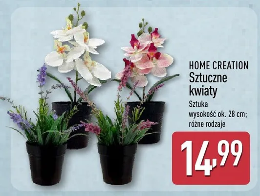 Sztuczne kwiaty różne rodzaje promocja w Aldi