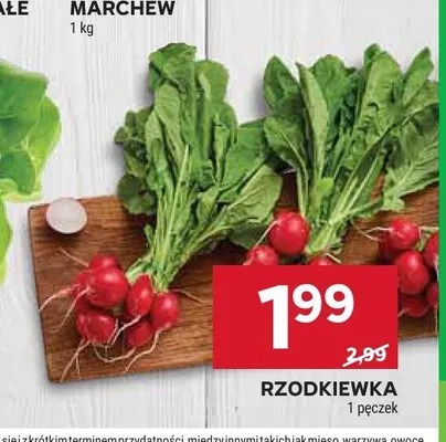 Rzodkiewka promocja w Stokrotka