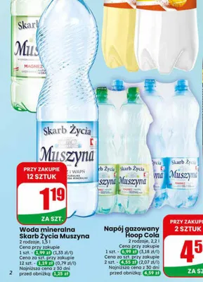 Woda mineralna Skarb Życia Muszyna Magnez promocja w Dino