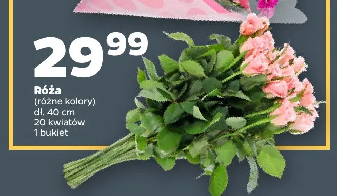 Róże dł. 40 cm 20 kwiatów promocja w Netto