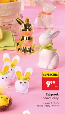 Zajączek ceramiczny, różne wzory i kolory promocja w Biedronka