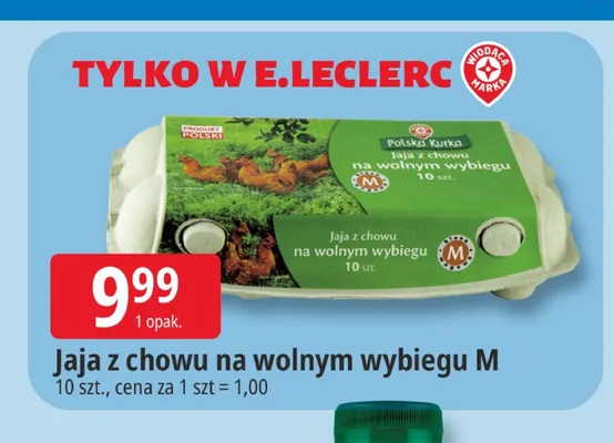 Jajka kurze z chowu na wolnym wybiegu M Polska Kurka promocja w Leclerc