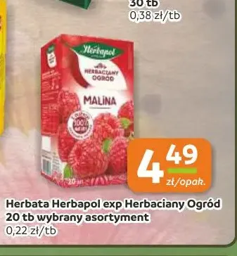 Herbata Herbapol exp Herbaciany Ogród malina promocja w Gama