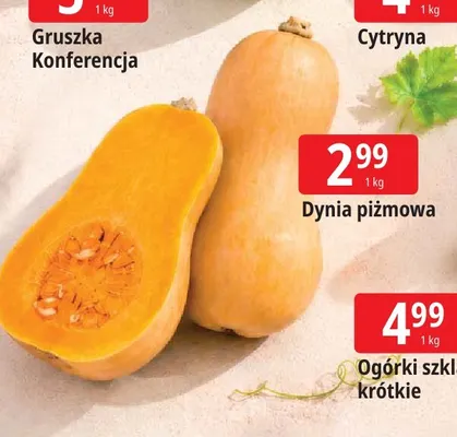 Dynia piżmowa promocja w Leclerc