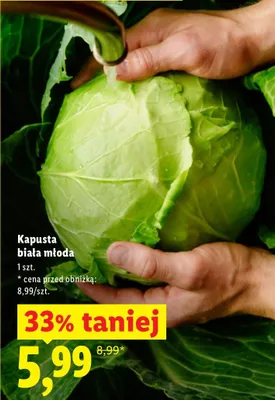 Kapusta biała młoda promocja w Lidl