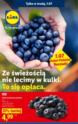 Polskie borówki amerykańskie promocja w Lidl
